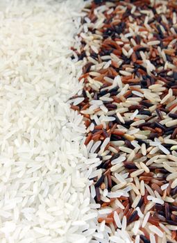 Thai Red Jasmine and Fragment magenta Organic rice half with White Jasmine rice, Background texture surface pattern