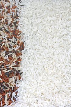 Thai White Jasmine rice dominate on Red Jasmine and Fragment magenta Organic rice, Background texture surface pattern