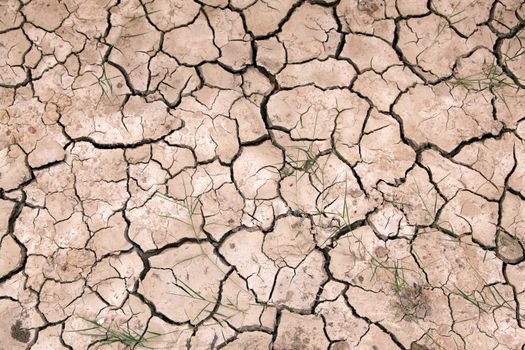 Dry cracked ground filling the frame as background