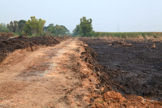 off road track to plant