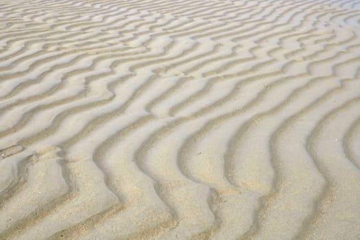 Pattern of sand beach ripple background