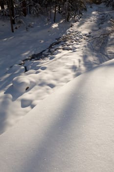 Image of wonderful winter forest with frozen stream