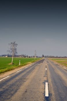 Narrow paved and patched asphalt road between agricultural fields.