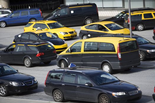 Large group of Taxi cabs