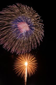 Japanese traditional fireworks in the night sky 