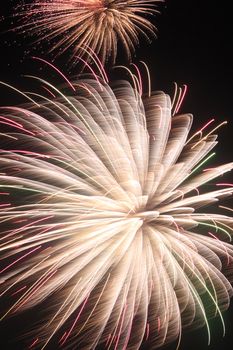 Japanese traditional fireworks in the night sky 