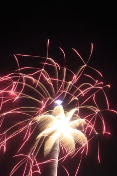 Japanese traditional fireworks in the night sky 