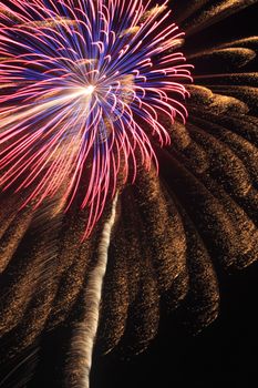 Japanese traditional fireworks in the night sky 