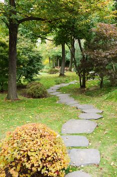 Path from stone in autumn park with green herb and tree