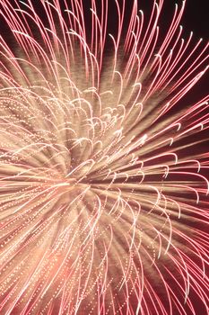 Japanese traditional fireworks in the night sky 