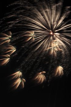 Japanese traditional fireworks in the night sky 