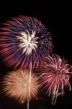 Japanese traditional fireworks in the night sky 