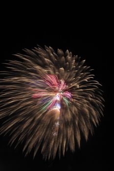 Japanese traditional fireworks in the night sky 