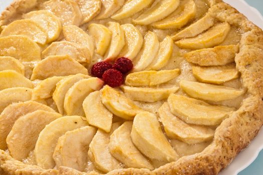 food series: pie with fresh tasty apple