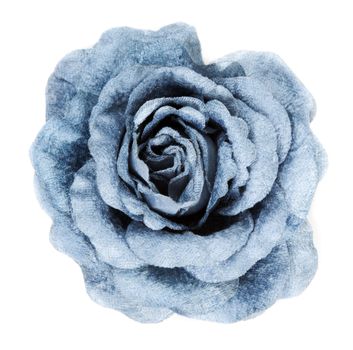 Blue fabrics rose insulated on white background