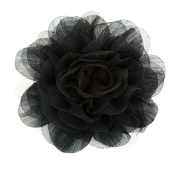 Black flower rose from lace on white background
