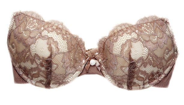 Drown bra without lace on white background