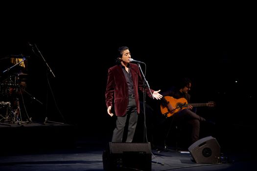 CADIZ, SPAIN - NOV 25: Juan Valderrama performing on the concert  of the IX Festival os spanish music on November 24, 2011, in the Gran Teatro Falla, Cadiz, Spain