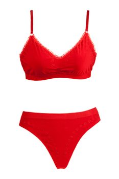 Kit red panties and bra on white background