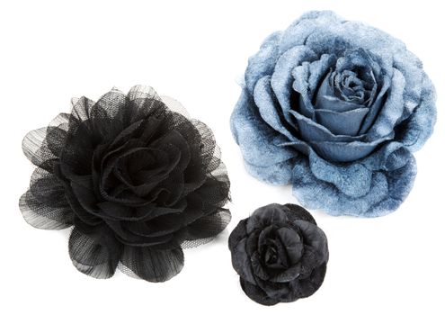 Two black and one blue flower rose from lace on white background