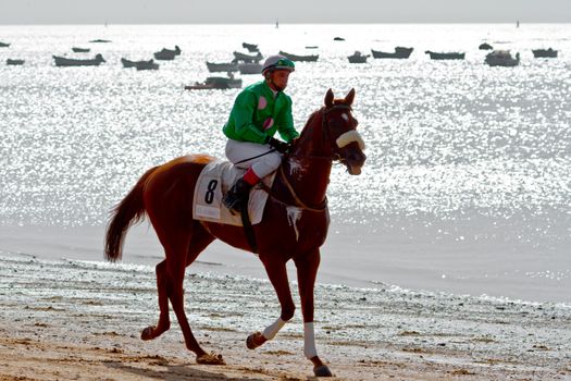 SANLUCAR DE BARRAMEDA, CADIZ, SPAIN - AUGUST 10: Unidentified rider at the start of race horses on Sanlucar de Barrameda beach on August 10, 2011 in Sanlucar de Barrameda, Cadiz, Spain.