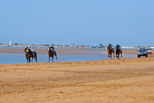 SANLUCAR DE BARRAMEDA, CADIZ, SPAIN - AUGUST 11: Unidentified riders race horses on Sanlucar de Barrameda beach on August 11, 2011 in Sanlucar de Barrameda, Cadiz, Spain.