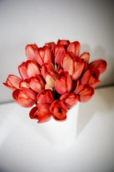 Bunch of Tulips in a vase