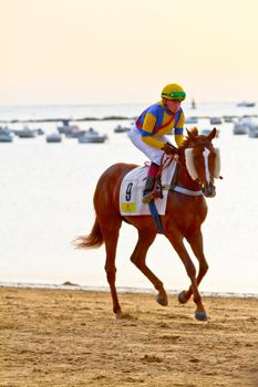 SANLUCAR DE BARRAMEDA, CADIZ, SPAIN - AUGUST 11: Unidentified riders race horses on Sanlucar de Barrameda beach on August 11, 2011 in Sanlucar de Barrameda, Cadiz, Spain.