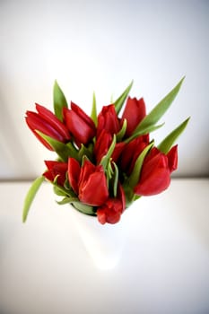 Bunch of Tulips in a vase