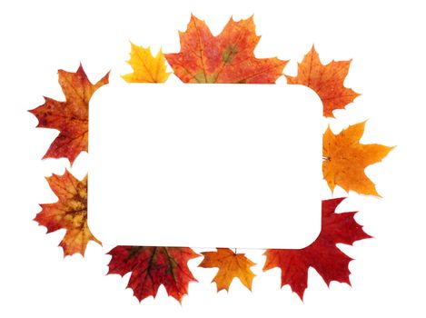 Autumn sheet by frame insulated on white background