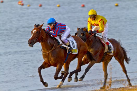 SANLUCAR DE BARRAMEDA, CADIZ, SPAIN - AUGUST 11: Unidentified riders race horses on Sanlucar de Barrameda beach on August 11, 2011 in Sanlucar de Barrameda, Cadiz, Spain.