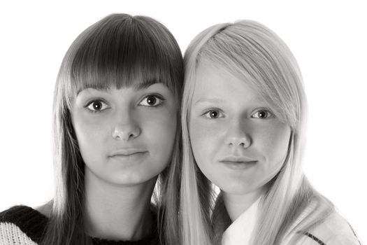 Portrait two girls of the blonde and brunettes insulated on white background monochrome