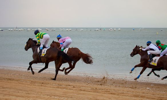 SANLUCAR DE BARRAMEDA, CADIZ, SPAIN - AUGUST 07: Unidentified riders race horses on Sanlucar de Barrameda beach on August 07, 2010 in Sanlucar de Barrameda, Cadiz, Spain.