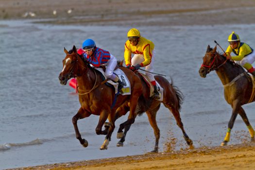 SANLUCAR DE BARRAMEDA, CADIZ, SPAIN - AUGUST 11: Unidentified riders race horses on Sanlucar de Barrameda beach on August 11, 2011 in Sanlucar de Barrameda, Cadiz, Spain.