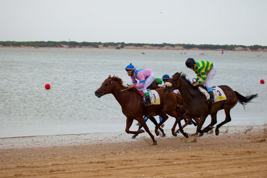 SANLUCAR DE BARRAMEDA, CADIZ, SPAIN - AUGUST 07: Unidentified riders race horses on Sanlucar de Barrameda beach on August 07, 2010 in Sanlucar de Barrameda, Cadiz, Spain.
