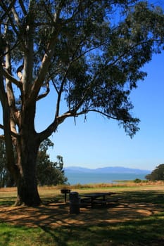 Picnic area in a park during day time.
