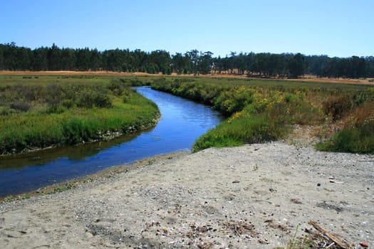 River in a park on a sunny day.
