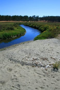 River in a park on a sunny day.
