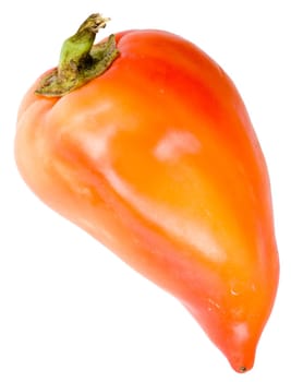 Red sweet pepper on a white background