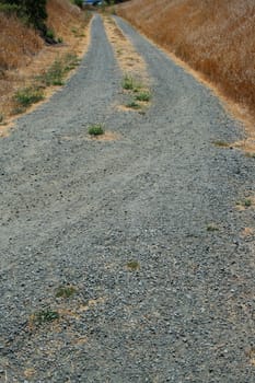 Trail in a park on a sunny day.
