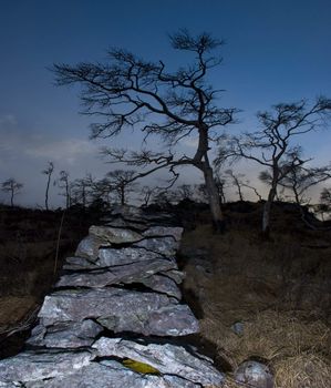 Flash lighted stonewall