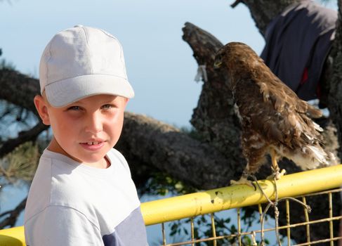 The smiling little boy against a hawk