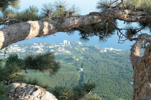 Yalta city. the panoramic view on top.
