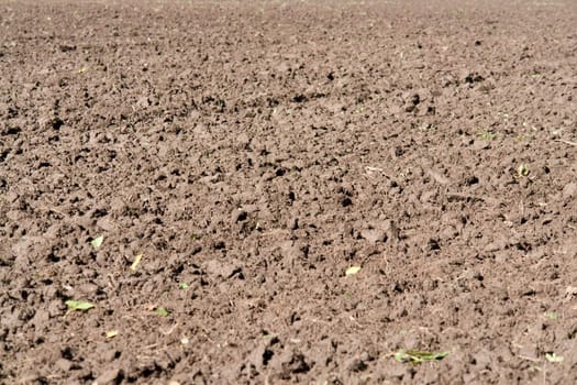 Arable land. The ploughed earth - it is good for background.