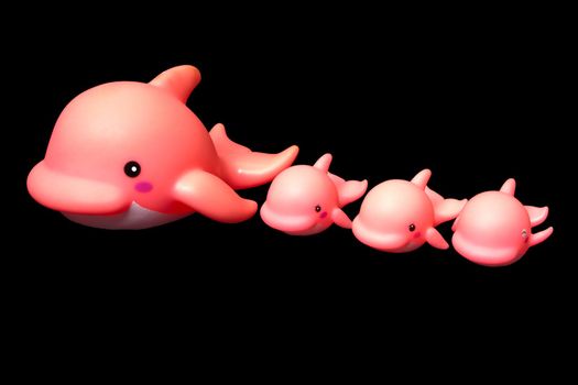 Rubber mother whale or fish toy and child isolated