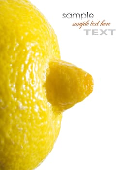 A slice of lemon macro isolated on white background