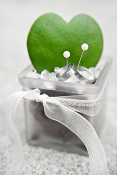 Silver wedding rings with heart shaped Cactus