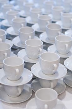 Many rows of pure white cup and saucer