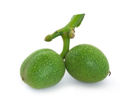 Green walnut isolated on white background