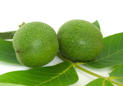 Green walnut isolated on white background